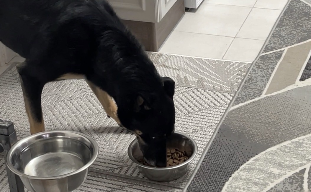 Вот тут я, например, ем с пола 😅