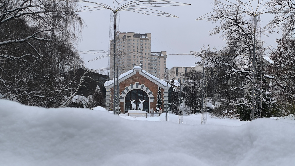 Аптекарский огород