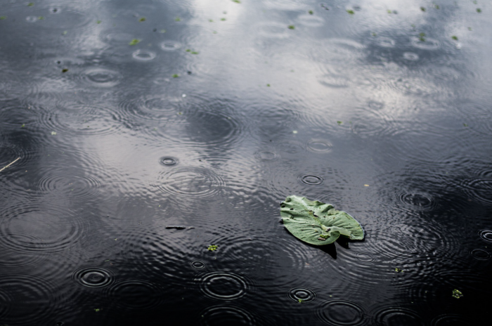    wirestock / ru.freepik.com