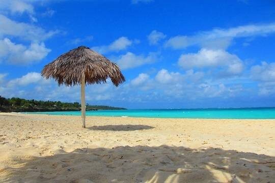    Туроператоры оценили интерес российских путешественников к Венесуэле (фото: pixnio.com)