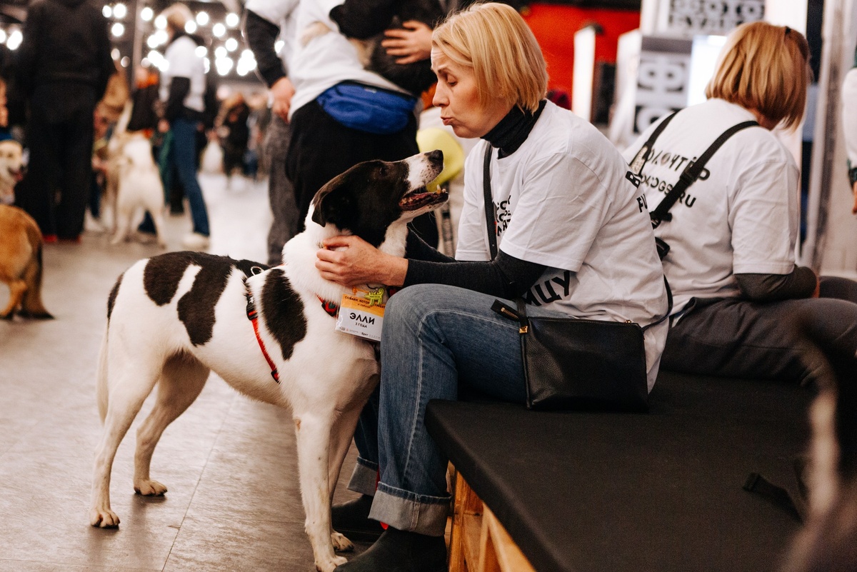 Фото: предоставлено БФ "Собаки, которые любят"