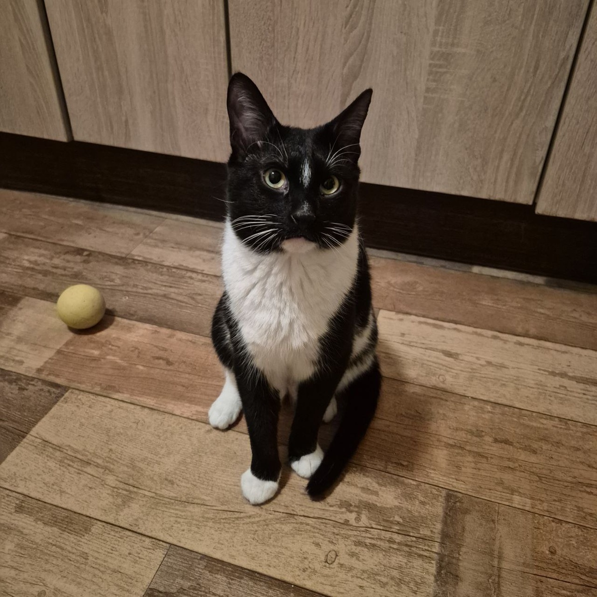 Давай, рассказывай