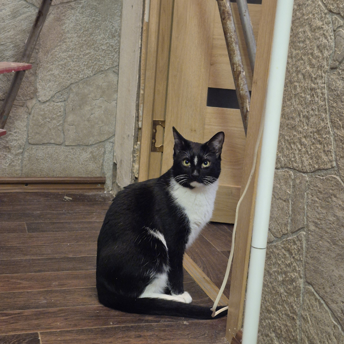 Ремонт это хорошо!