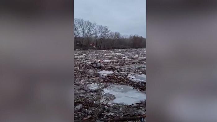 Тонны мусора плывут из Украины в Европу по Тисе. Обложка © Telegram / УНИАН