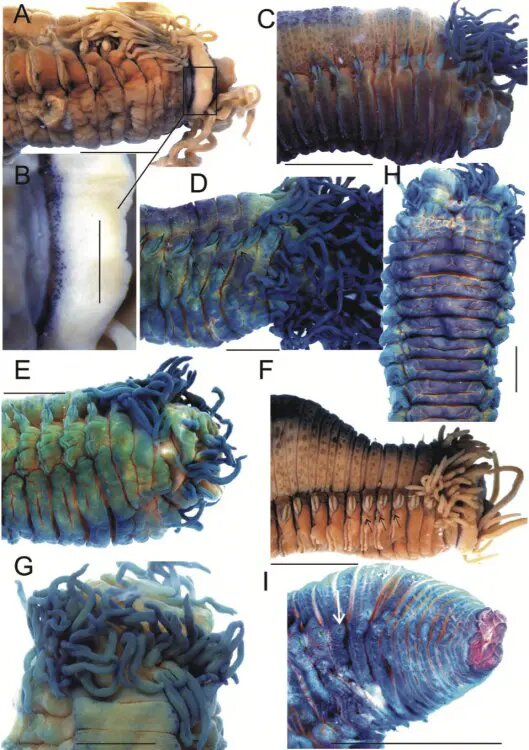    Фото: scientificrussia.ru Ярослава Мухина