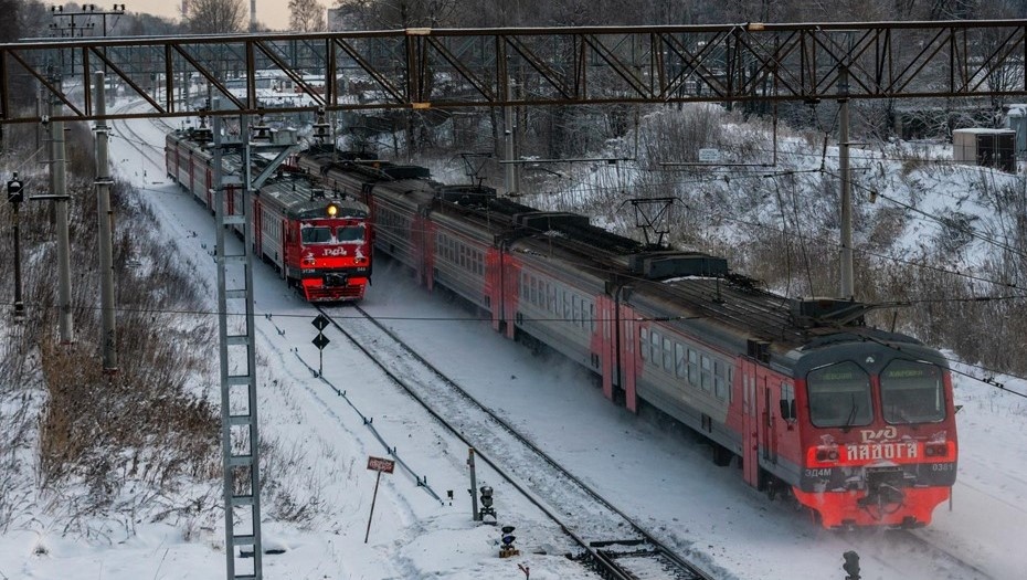    Автор фото: Тихонов Михаил