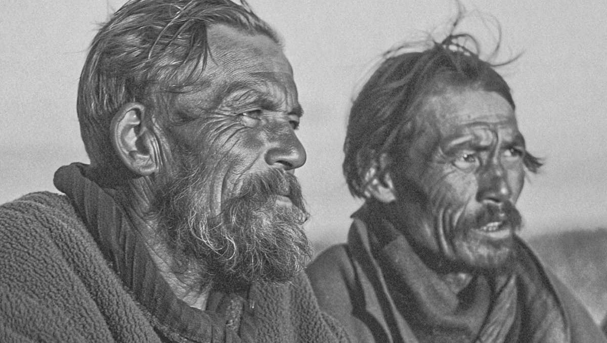 Иллюстрация к истории создана при помощи ИИ