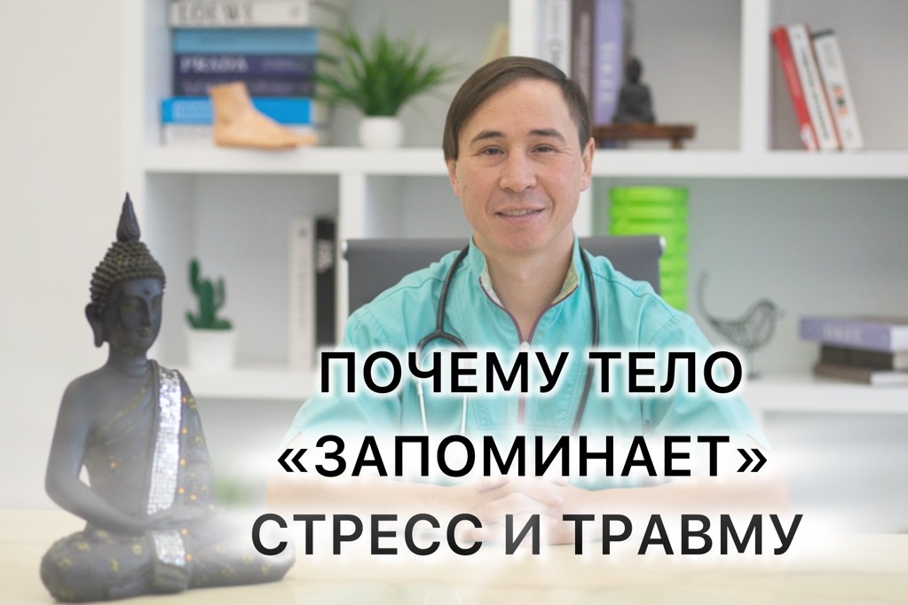 Стресс — это не только эмоции. Это конкретная физиология, которую тело может «запомнить» на годы. И речь не о метафоре, а о работе нервной системы.