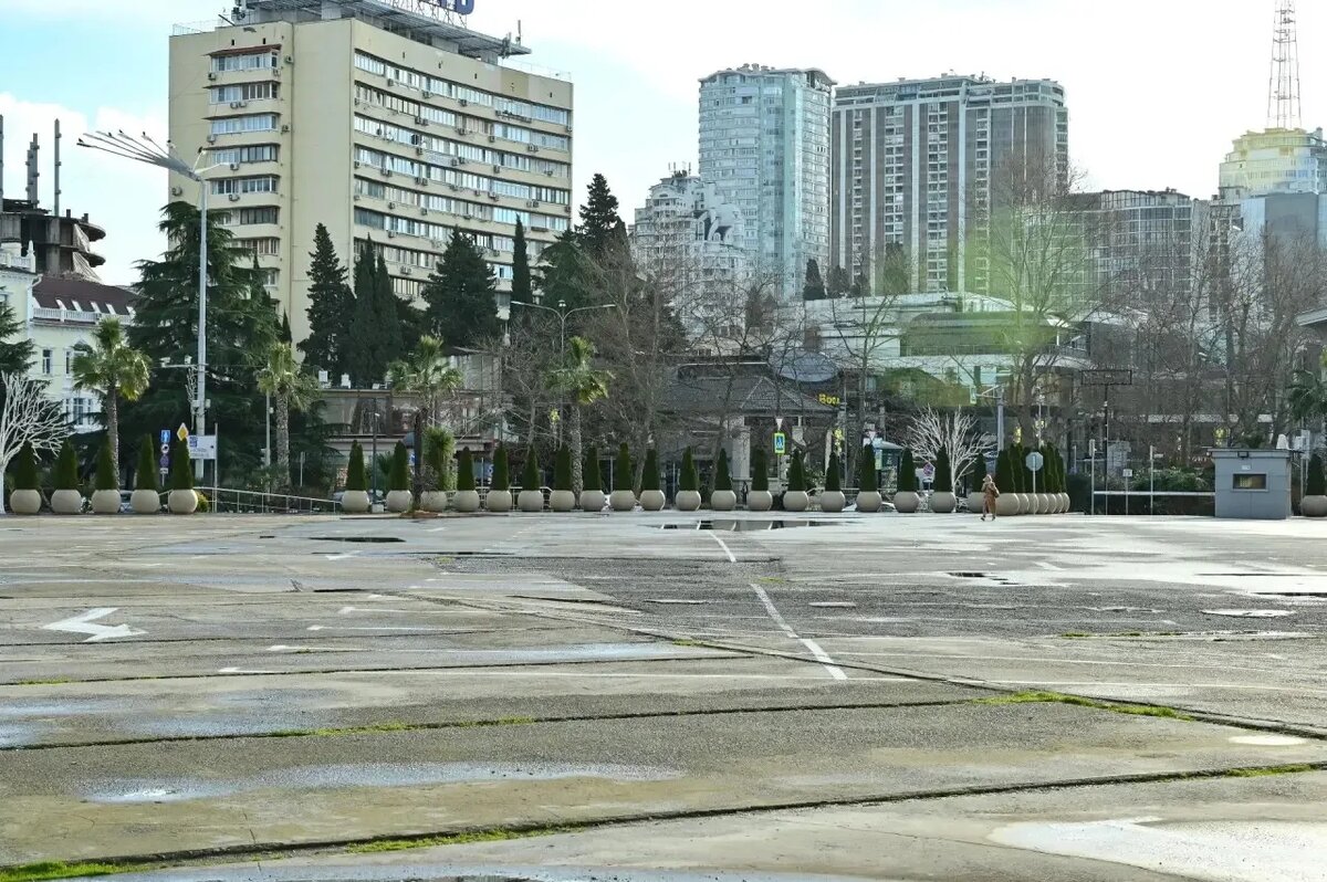 фото: Telegram/Мэр Сочи Андрей Прошунин  📷
