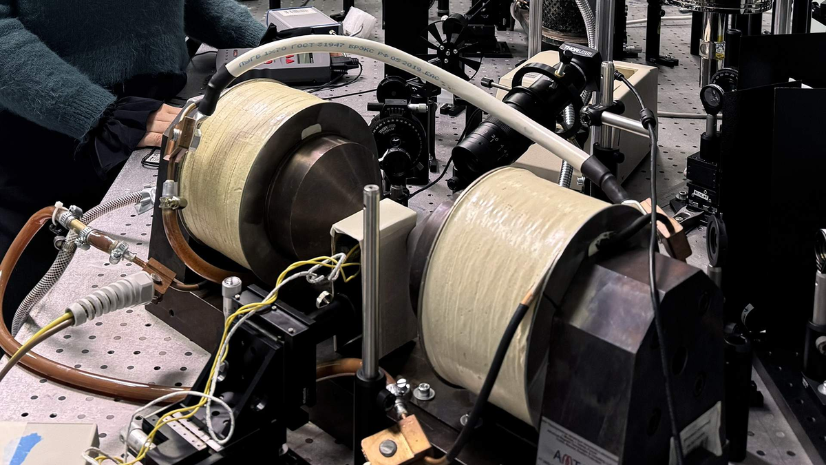 Фото: Александра Калашникова