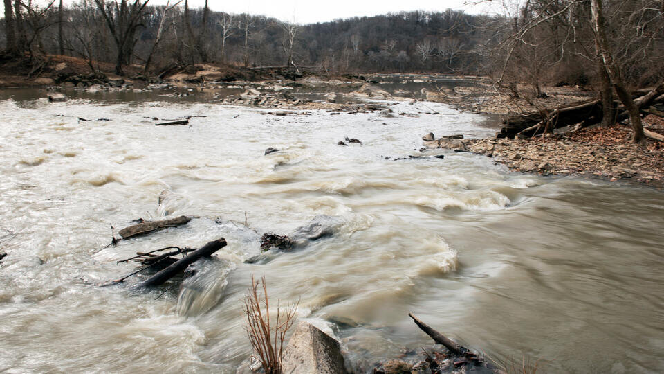 Фото: © Cliff Owen/AP/TASS
