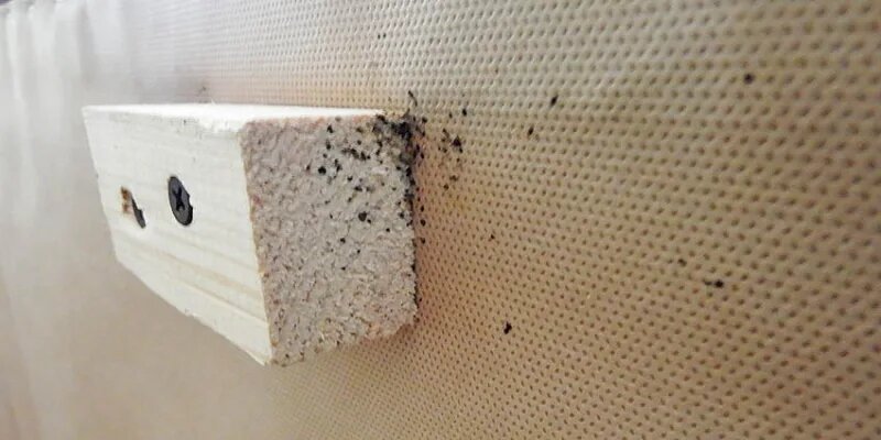 Следы клопов на диване