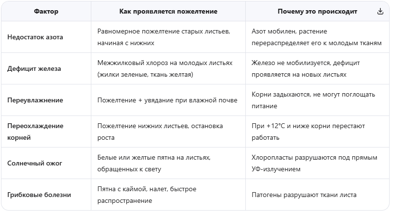 Ключевые факторы, влияющие на здоровье листьев