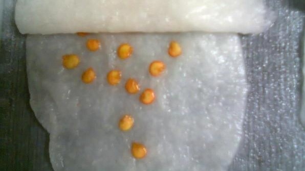 Правильная раскладка — расстояние 1-2 см, ткань влажная