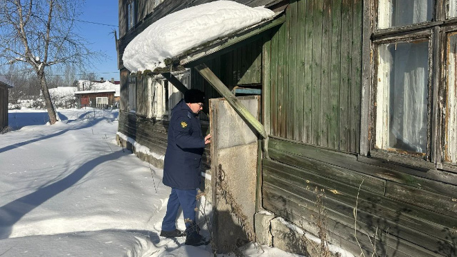 Фото: https://t.me/prok_lenobl/10005