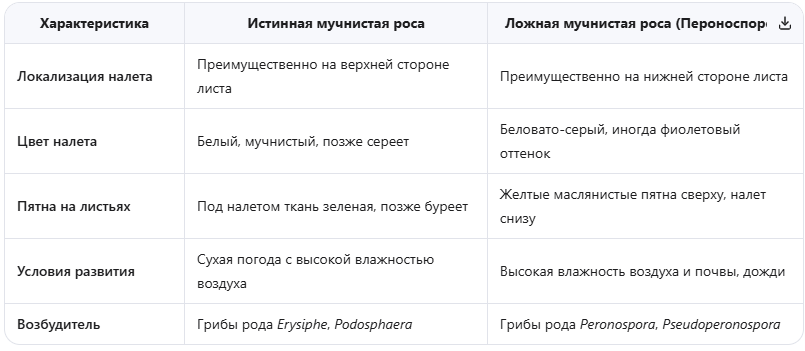 Истинная мучнистая роса vs Ложная мучнистая роса