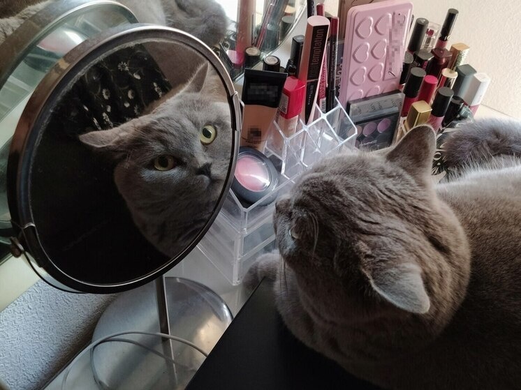     Современный мир устроен нарциссично. Фото: Архив МК в Великом Новгороде