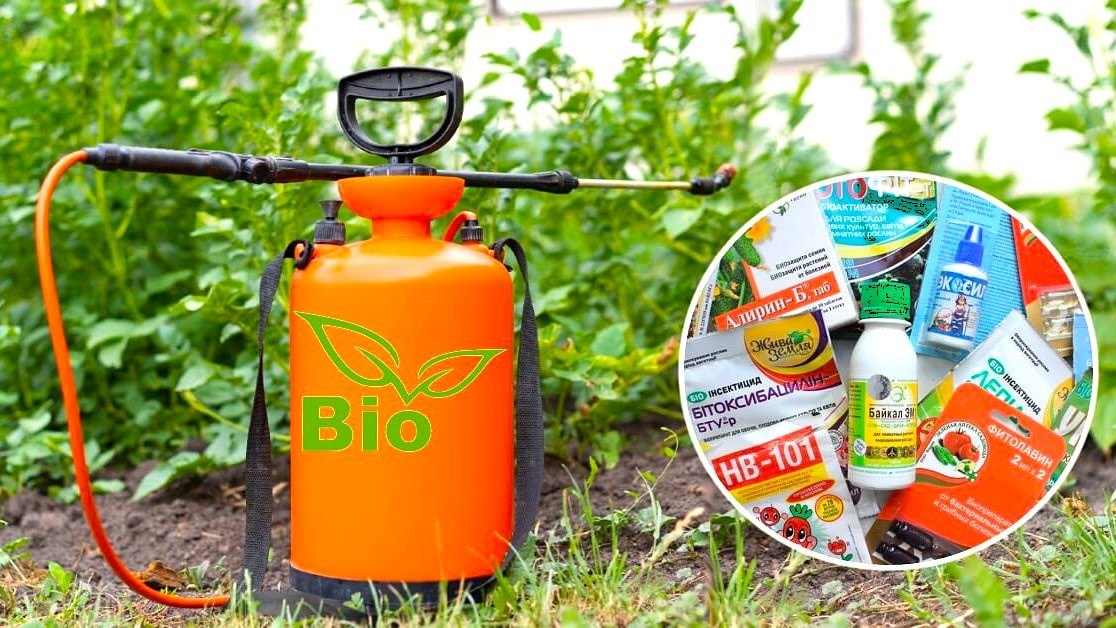 Эффективные биопрепараты для защиты сада и огорода весной