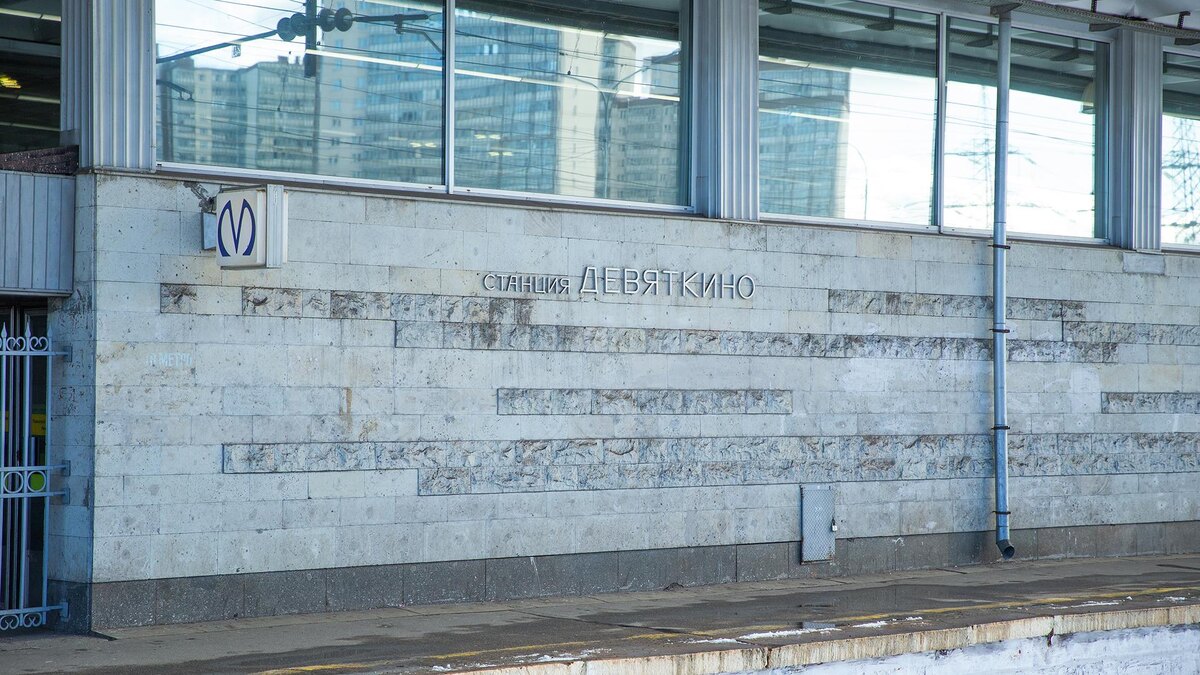    Фото: ИЗВЕСТИЯ/Телеканал «78»