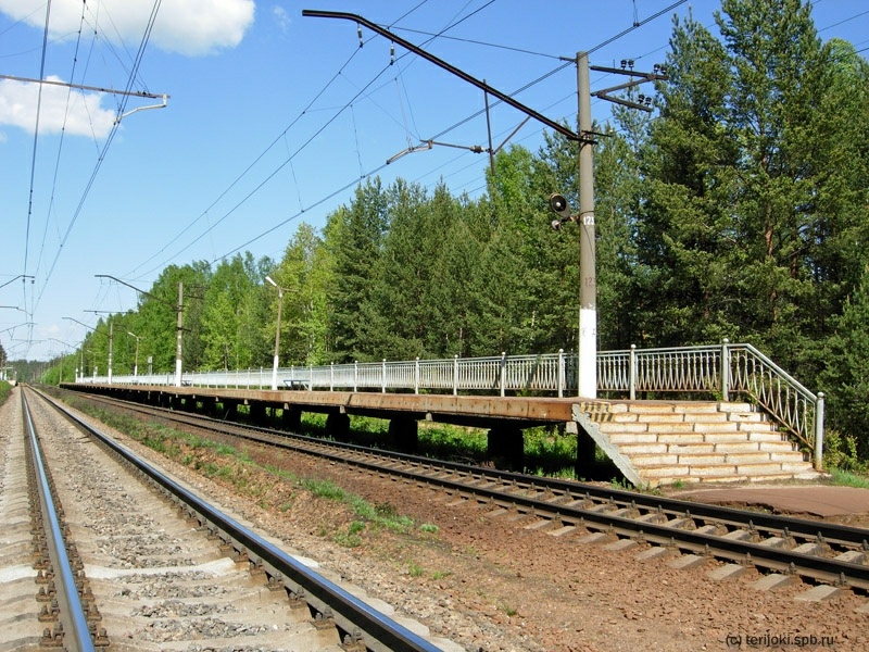 Остановочный пункт 69 км. Платформа № 1 (от Санкт-Петербурга). Фото: Д. Верёвкин, 27 мая 2013 г.