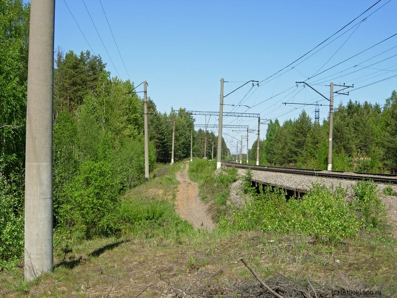 Кривая 70 км перегона Орехово-Сосново. Место, где был старый однопутный мост. На заднем плане – две П-образные опоры контактной сети. Фото: Д. Верёвкин, 27 мая 2013 г.