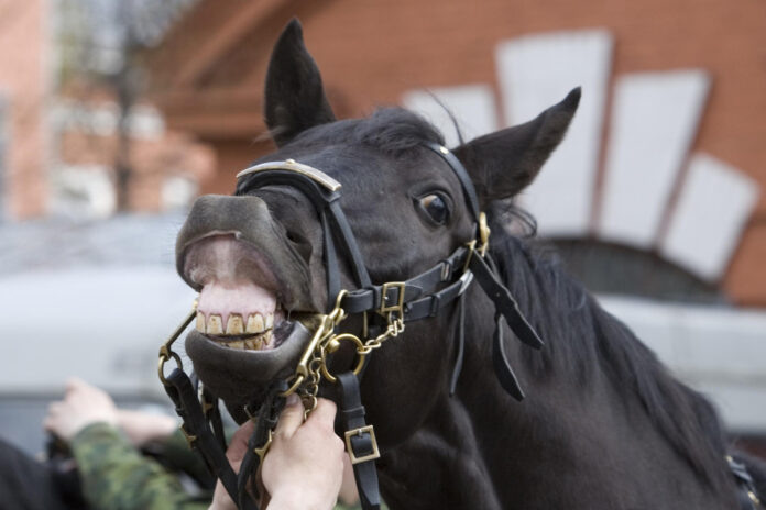    Конец эпохи молчания: Как биоакустический свист открыл ящик Пандоры в диалоге с животными.