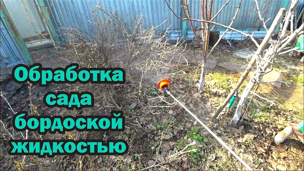 Как правильно использовать бордоскую жидкость для весенней обработки сада
