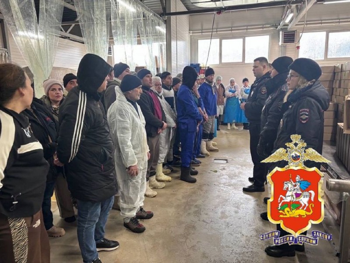    Фото: пресс-служба ГУ МВД по МО