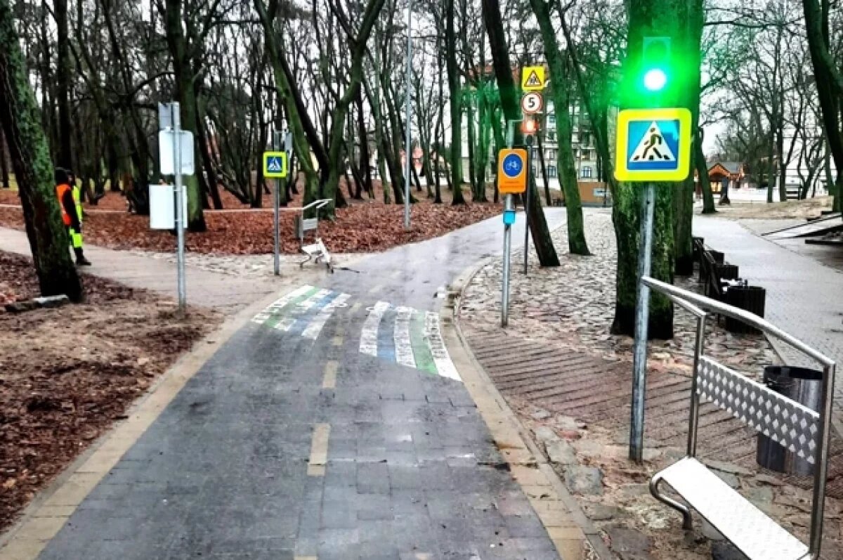    В Зеленоградске отметят День рождения зеленоградского кота