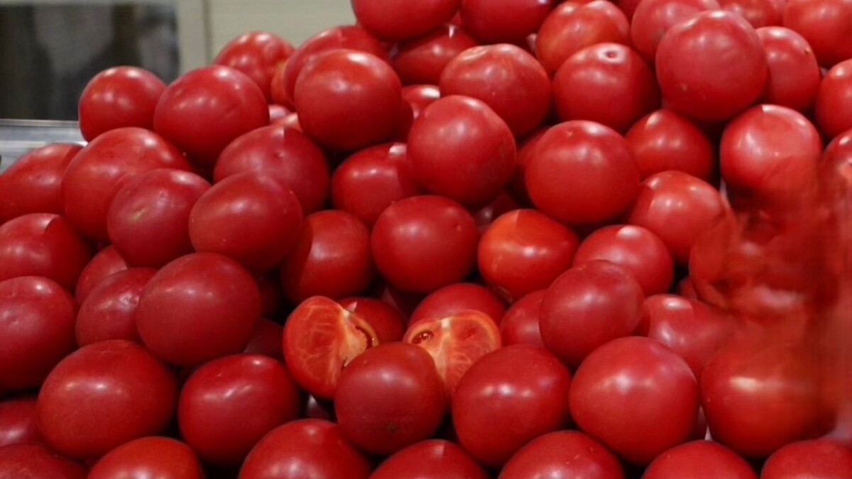    Фото: телеканал «Краснодар»