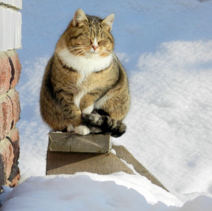 Картинка из сети интернет, спасибо автору.