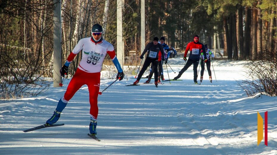   Автор фото: Юлия Белогорлова