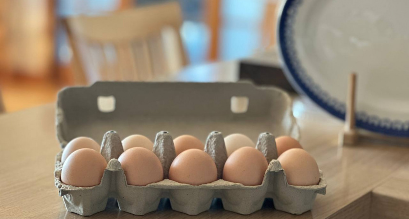    Первый городской канал Калининград