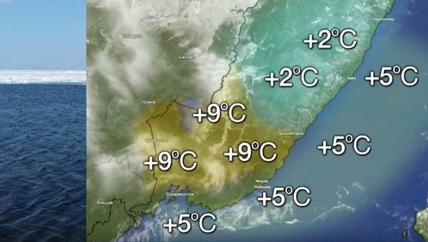    Источник фото: «Вести:Приморье»