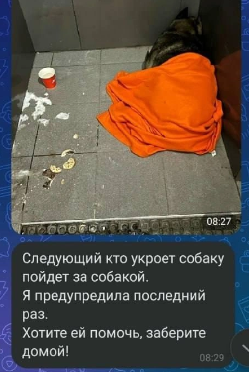 Додобоня и "Додо Пицца": что произошло. Фото: скриншот сообщения / соцсети