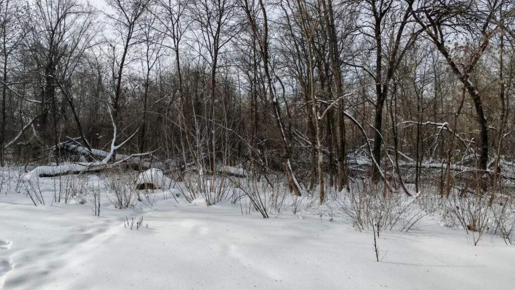    Фото со страницы Максима Левина