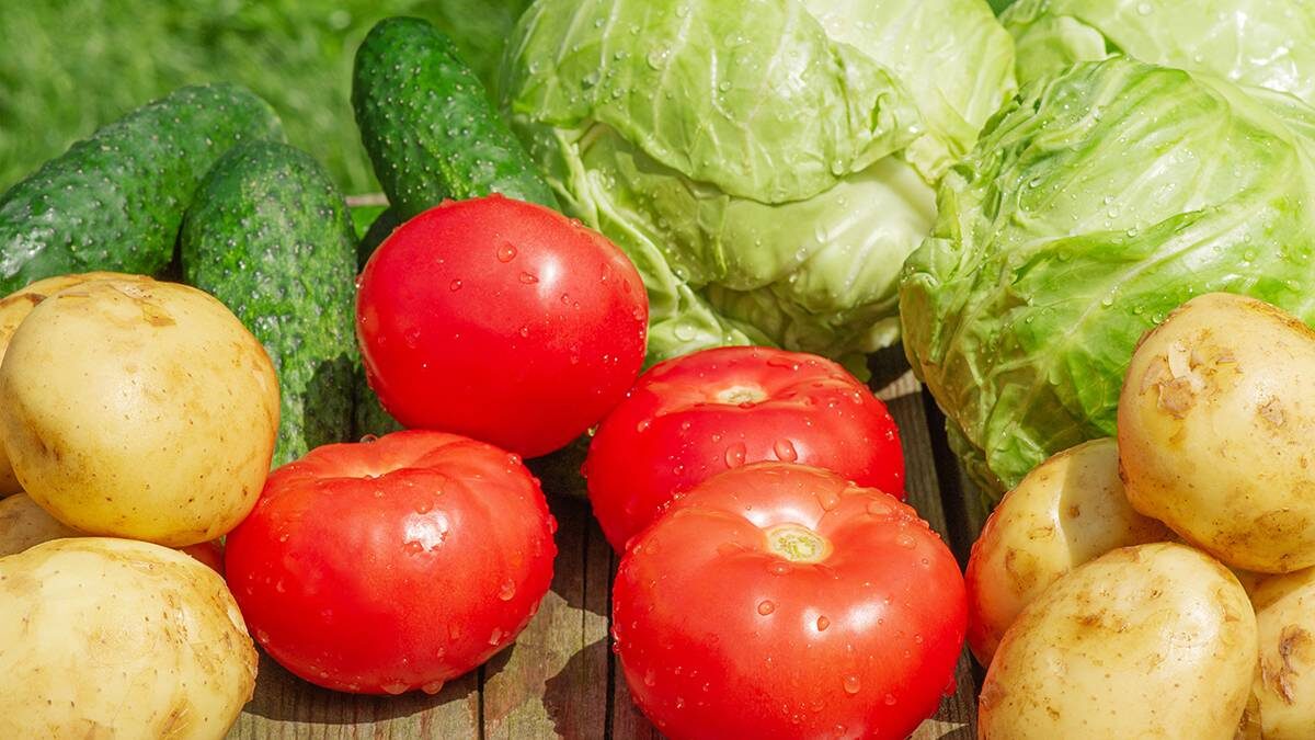    Фото: Shutterstock