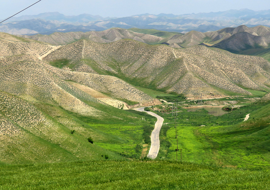 Туркменская степь в Иране