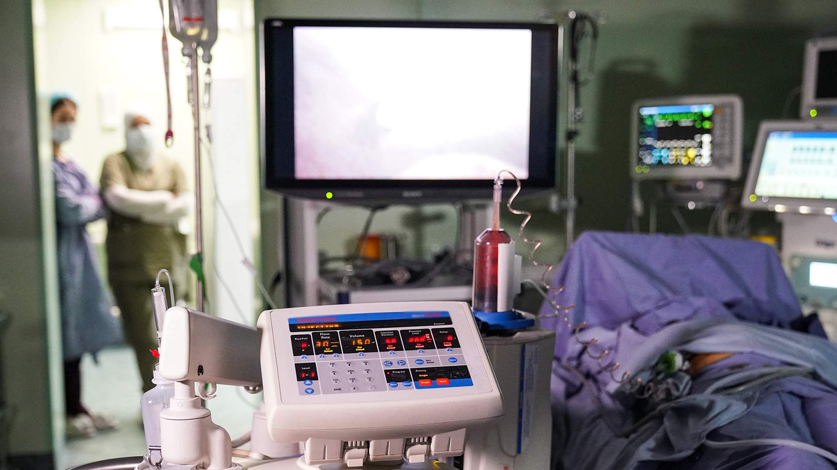 Фото: ИЗВЕСТИЯ/Сергей Лантюхов