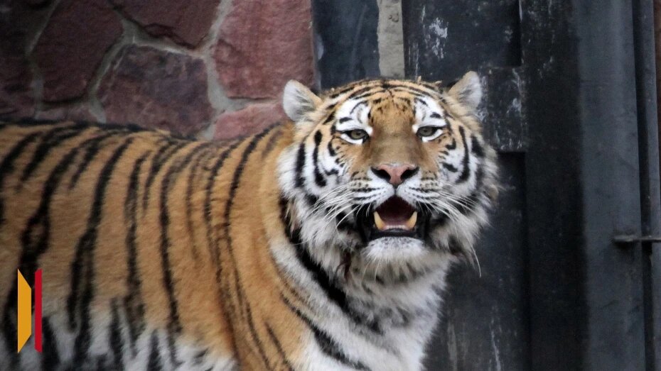    Автор фото: Евгения Емельянова (из архива)