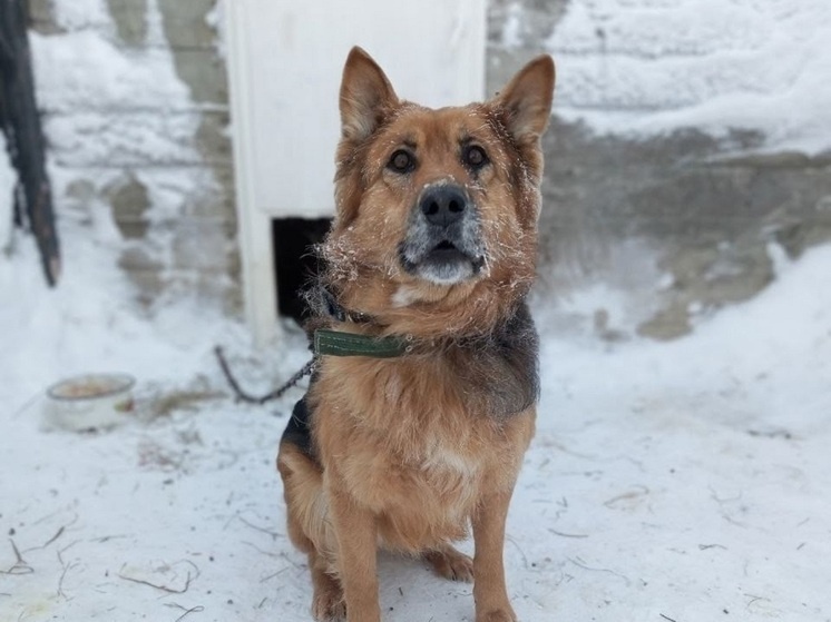     Фото: https://vk.com/ku_nao_sbbg