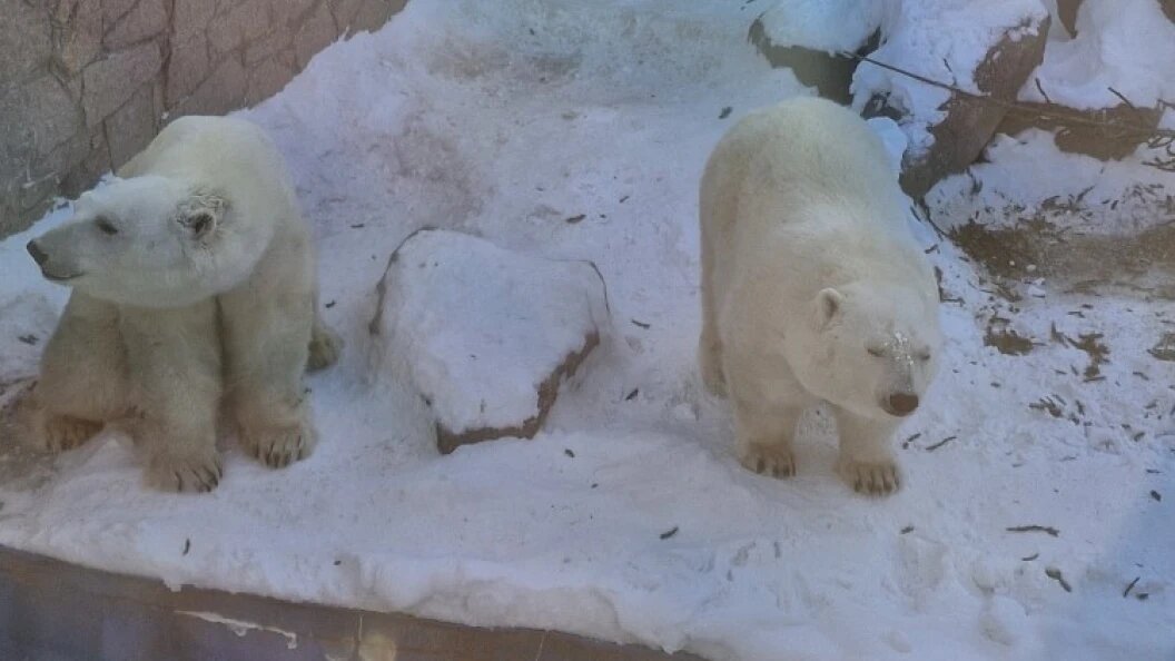    Фото: Уральское межрегиональное управление Россельхознадзора.