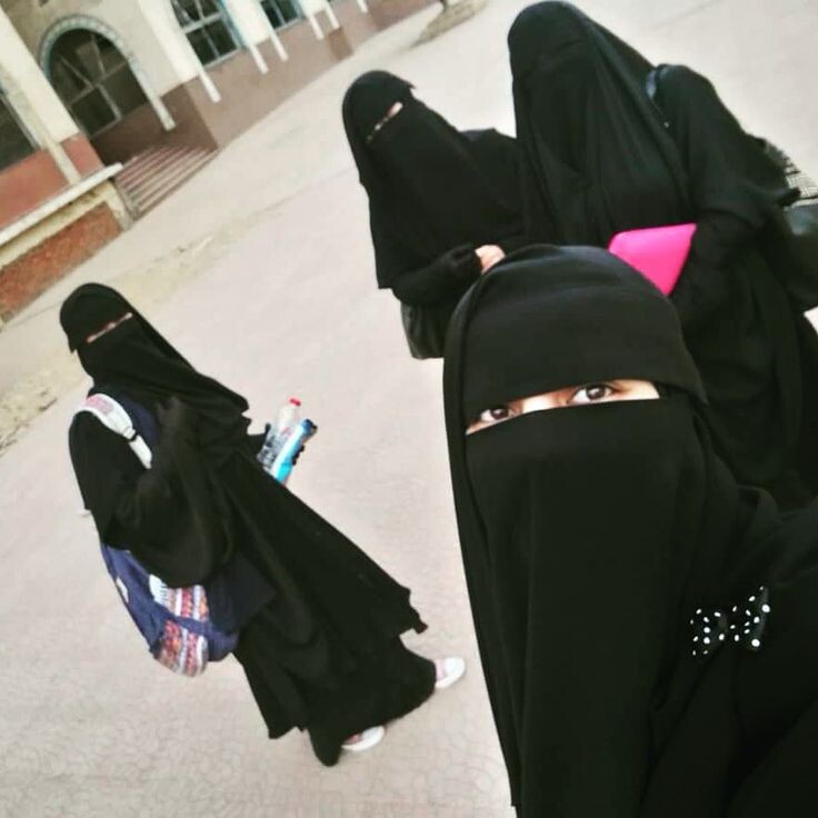 Фото: из открытых источников.