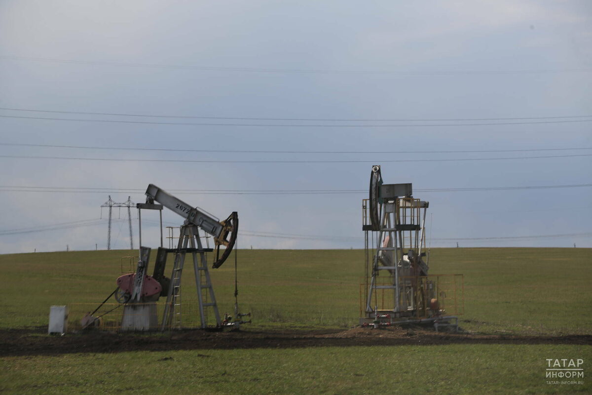 Фото: © Рамиль Гали / «Татар-информ»