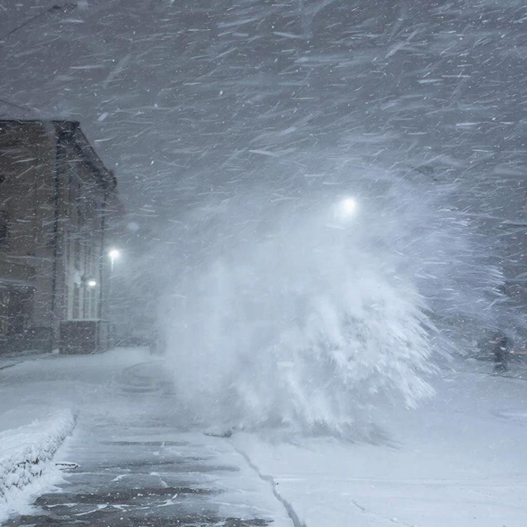    Картинка сгенерирована ИИ Elena Maltseva