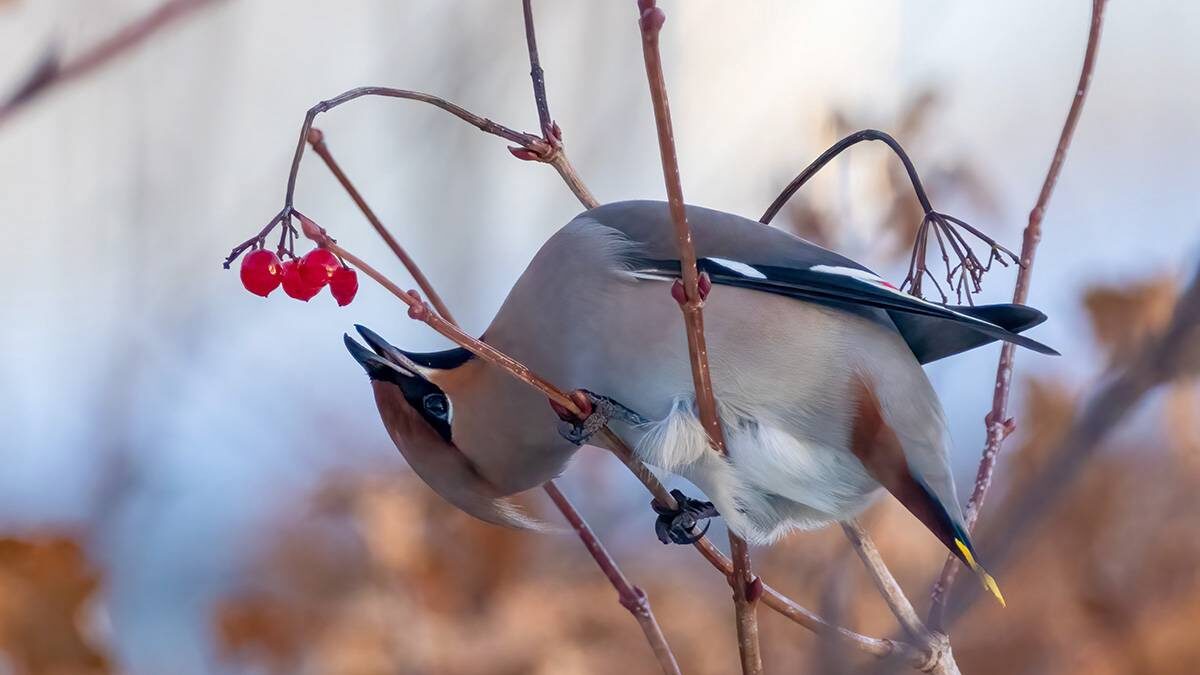    Фото: shutterstock