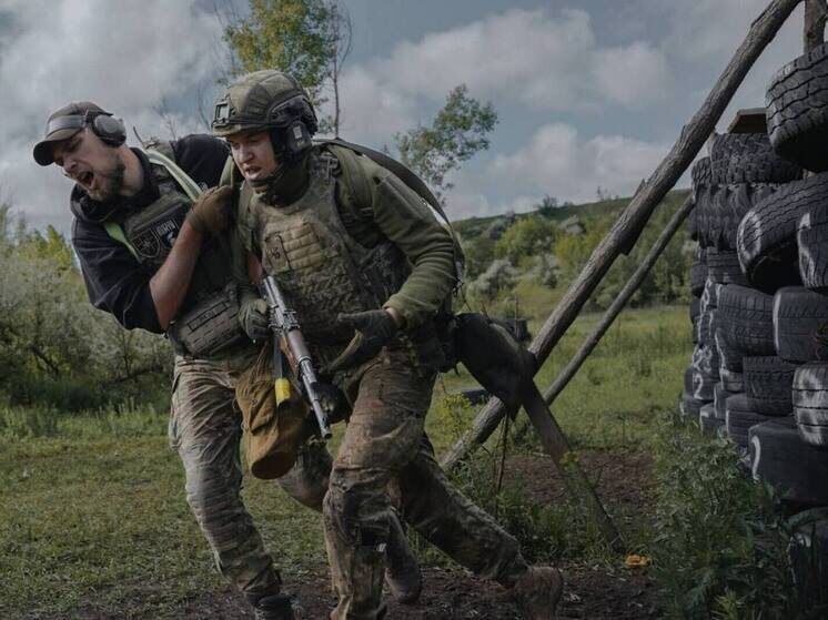     Фото: сухопутные войска ВСУ.