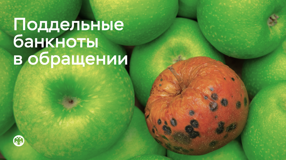 Фото: Azovsky / Shutterstock