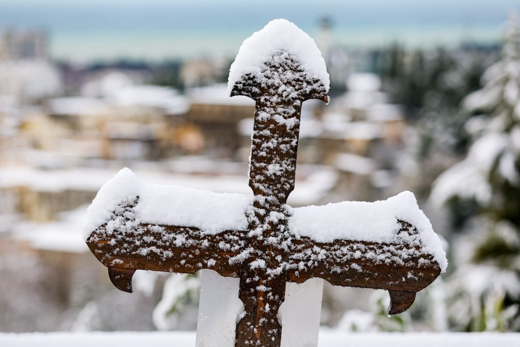    Фото © Дмитрий Феоктистов / ТАСС