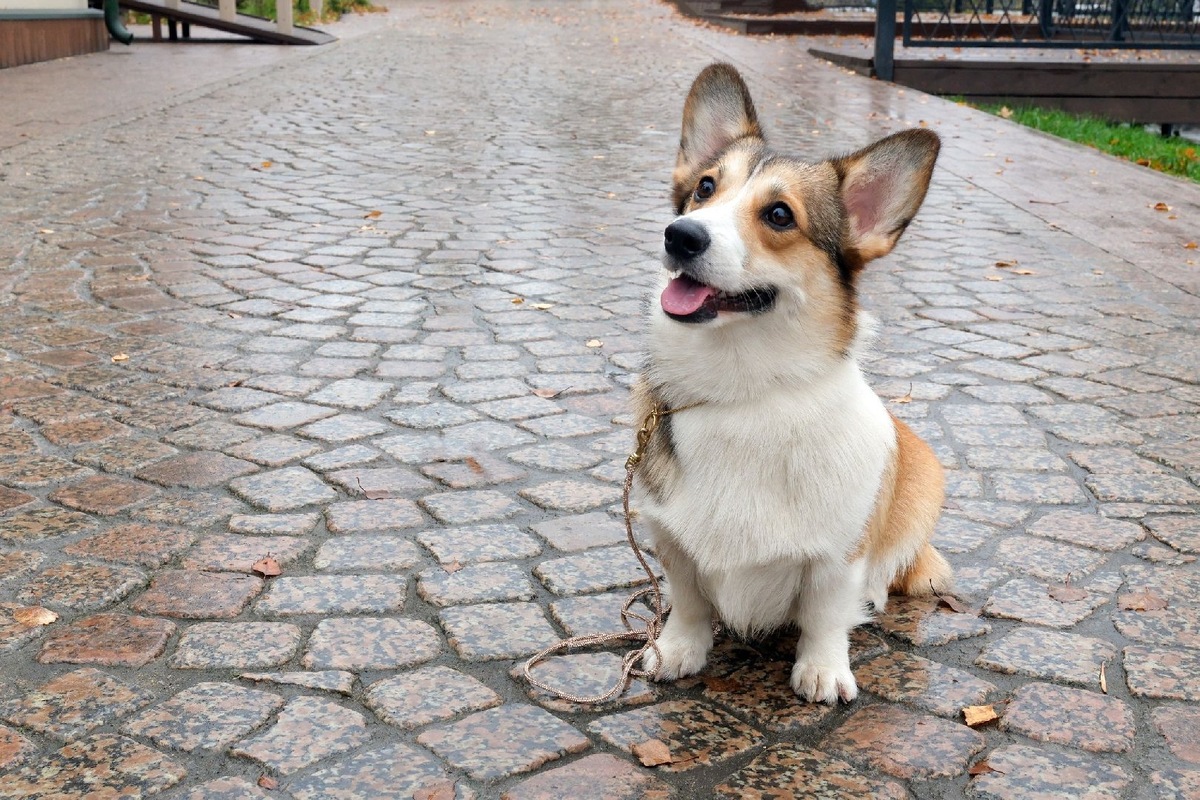    Фото: iStock/MaskaRad